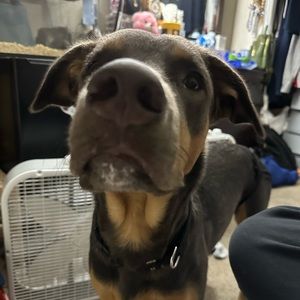 Meet your Posher, Jacky